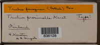 Image Associated With the Occurence